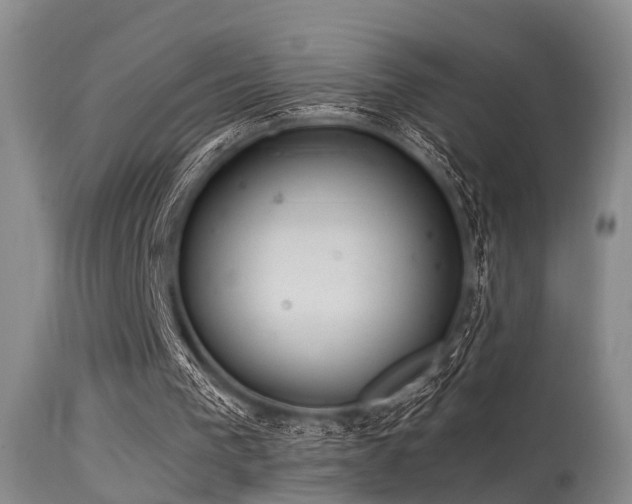 X0000115620193200911101423