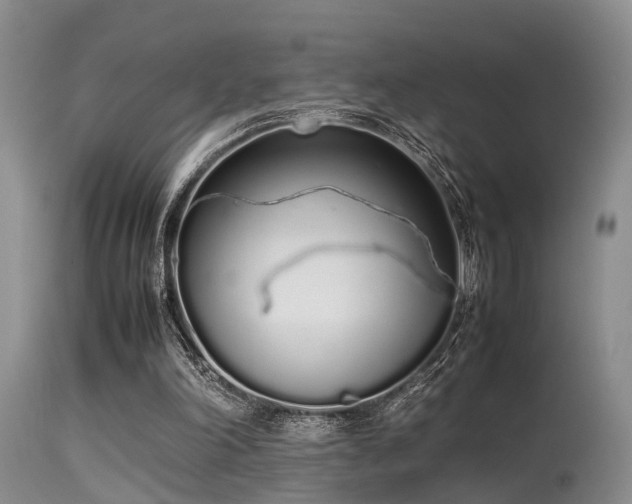 X0000115620198200911101423