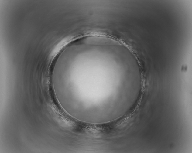 X0000115620199200911101423