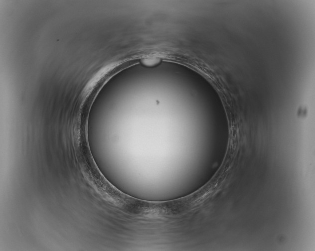 X0000115620200200911101423