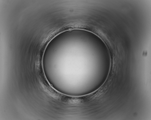 X0000115620202200911101423