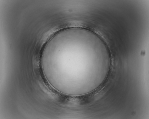 X0000115620203200911101423