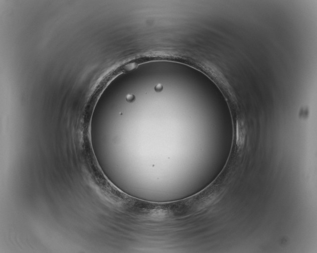 X0000115620204200911101423