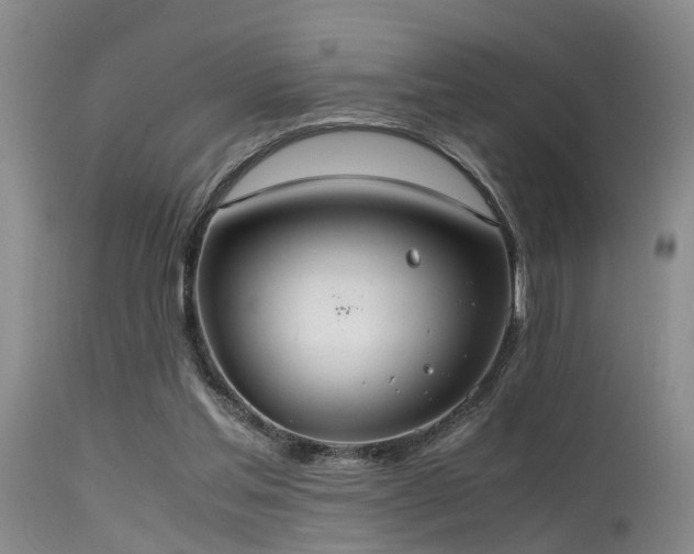 X0000115620205200911101423