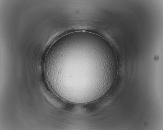 X0000115620207200911101423