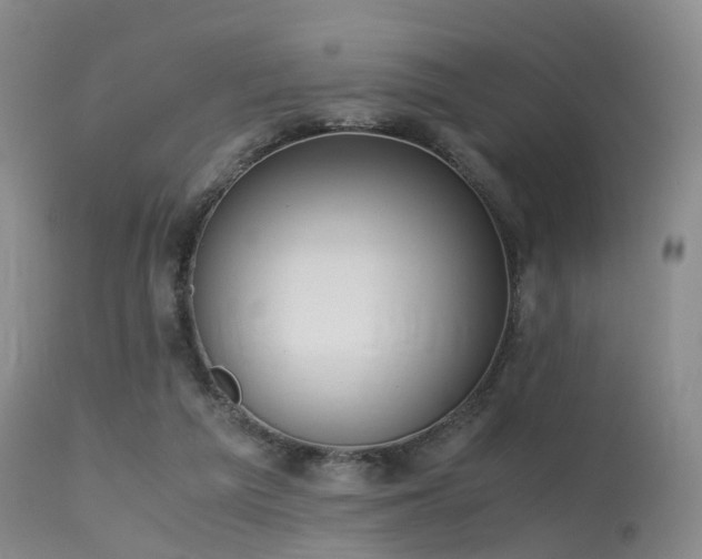 X0000115620209200911101422