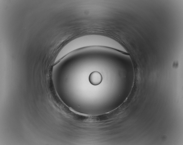 X0000115620211200911101422