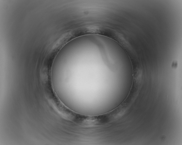 X0000115620213200911101422