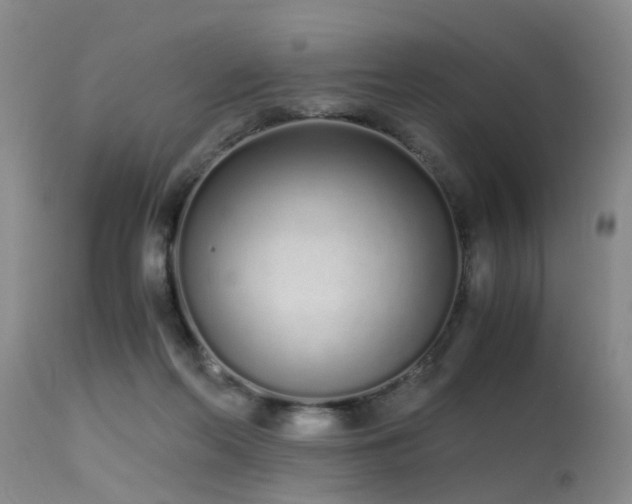 X0000115620214200911101422