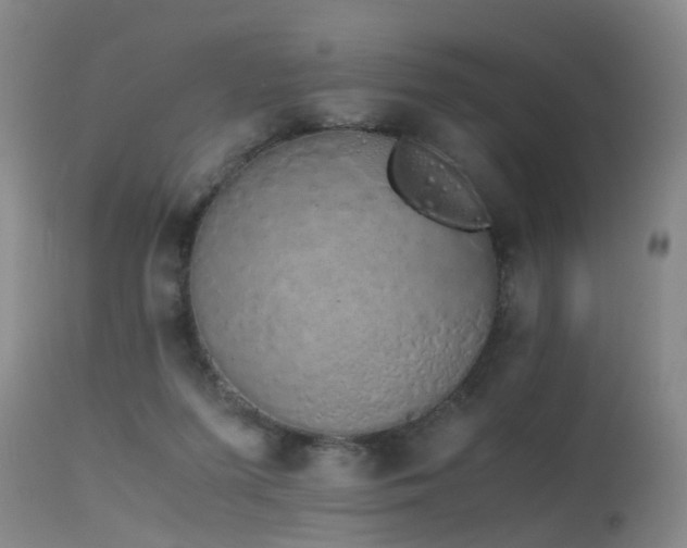 X0000115620215200911101422