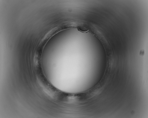 X0000115620216200911101422