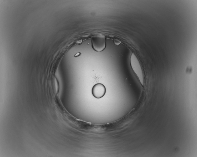 X0000115620217200911101422