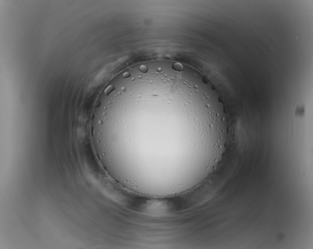 X0000115620218200911101422