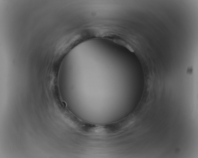 X0000115620219200911101422