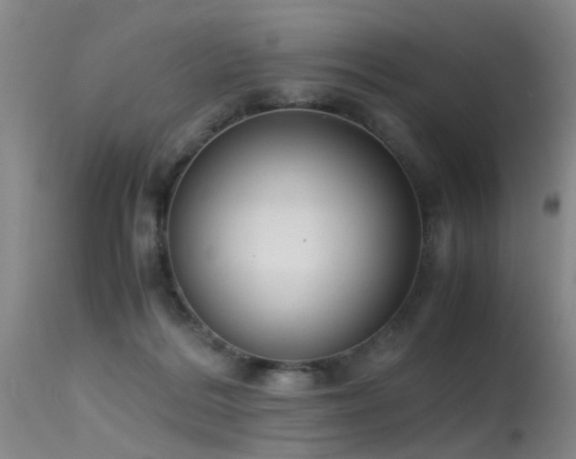 X0000115620220200911101422