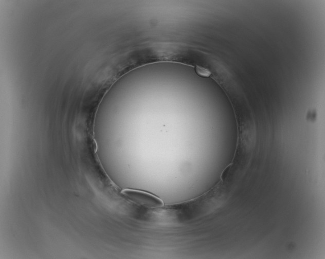 X0000115620221200911101422