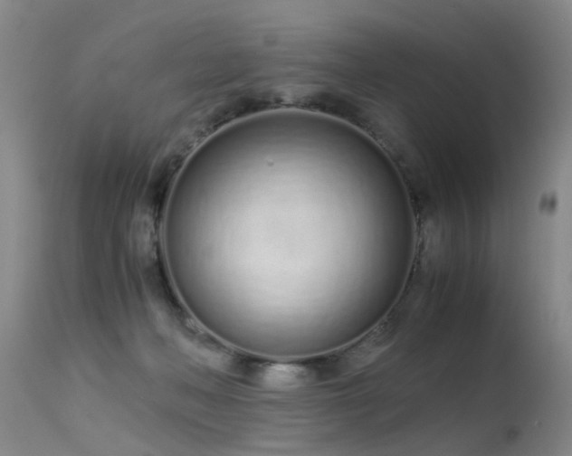 X0000115620222200911101422