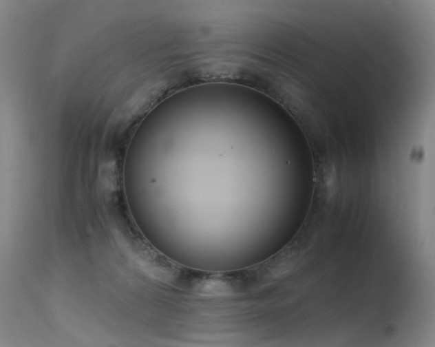 X0000115620224200911101422