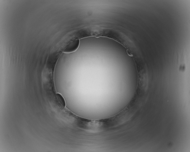 X0000115620225200911101422