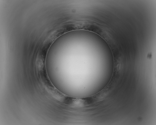 X0000115620226200911101422