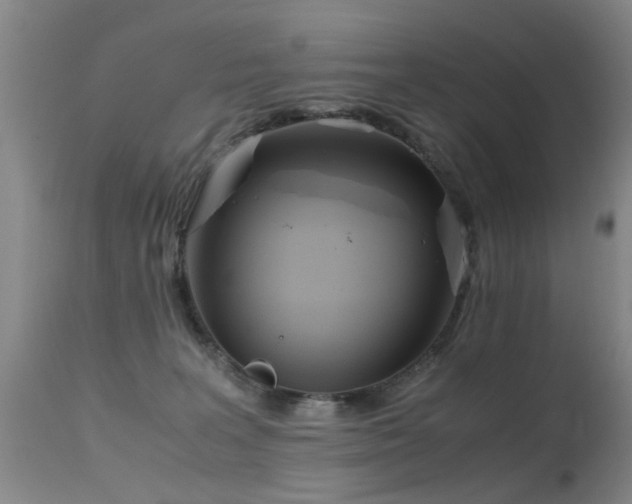 X0000115620227200911101422