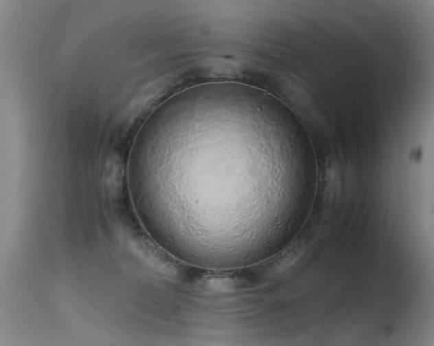 X0000115620228200911101422