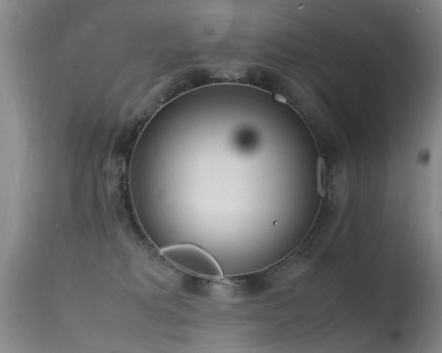 X0000115620229200911101422