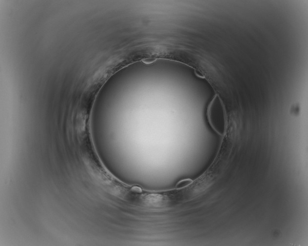 X0000115620230200911101422