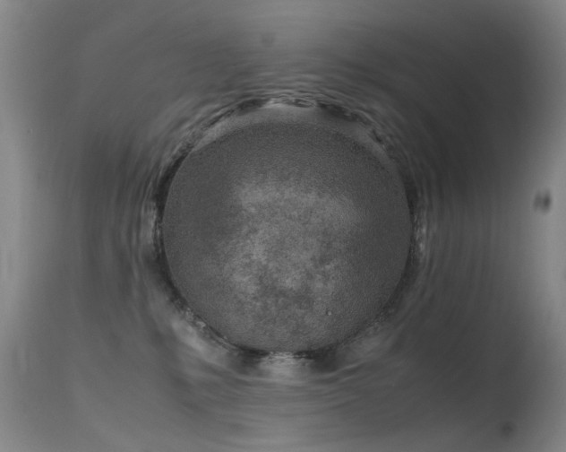 X0000115620231200911101422