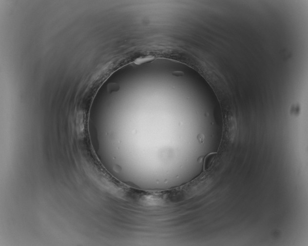 X0000115620232200911101422