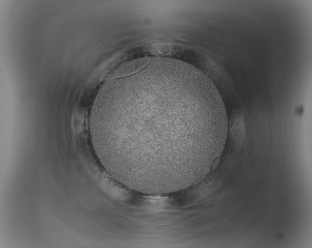 X0000115620233200911101422