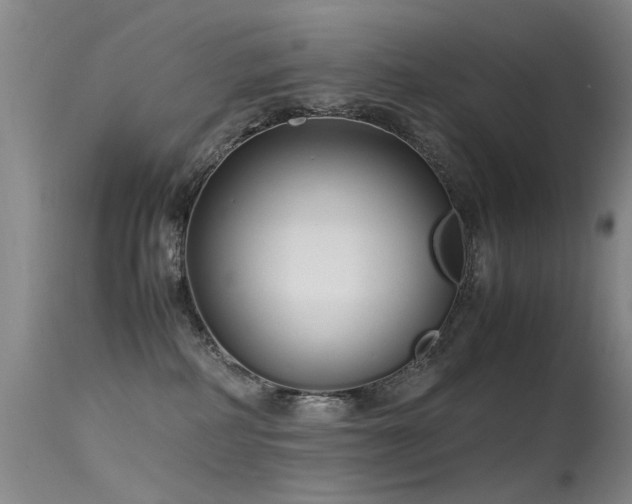 X0000115620234200911101422