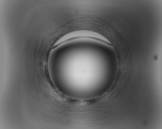 X0000115620235200911101422