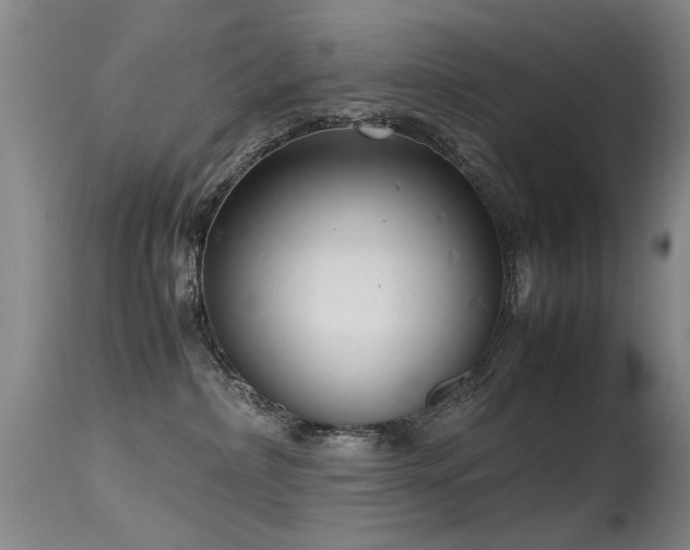 X0000115620236200911101422