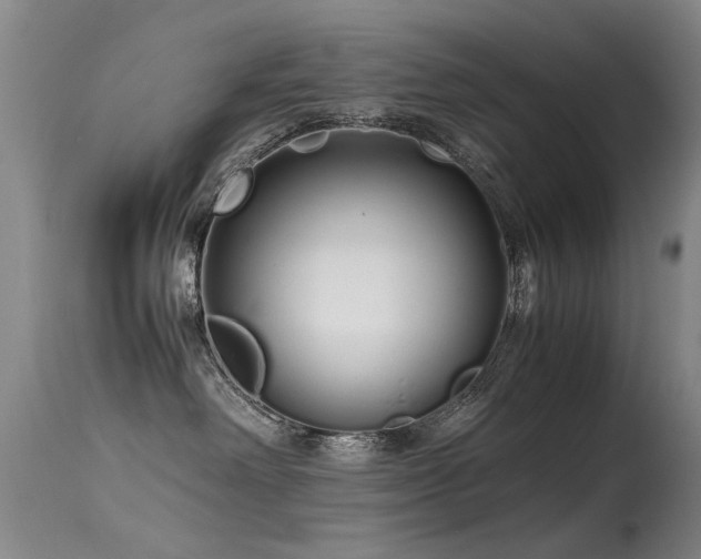 X0000115620238200911101422