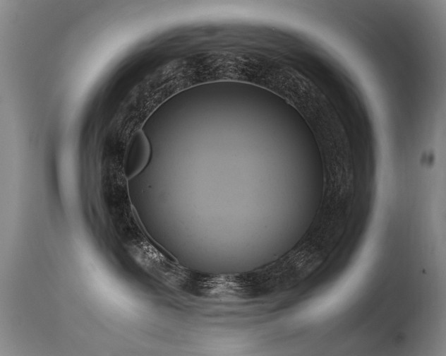 X0000115620239200911101422