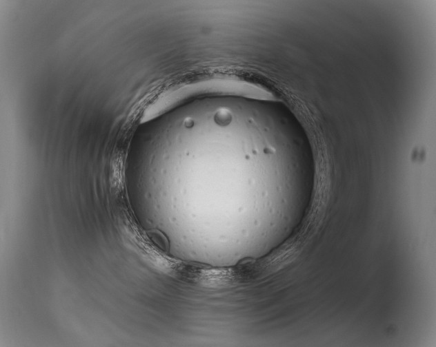 X0000115620240200911101422