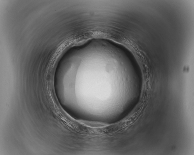 X0000115620241200911101421