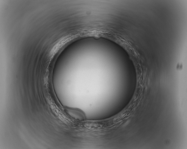 X0000115620242200911101421