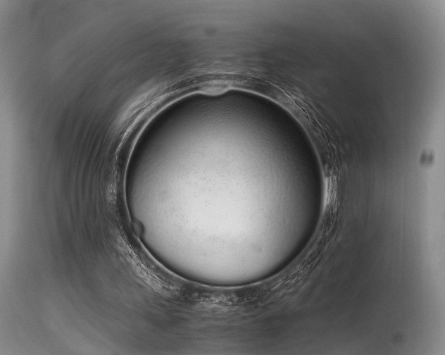 X0000115620243200911101421