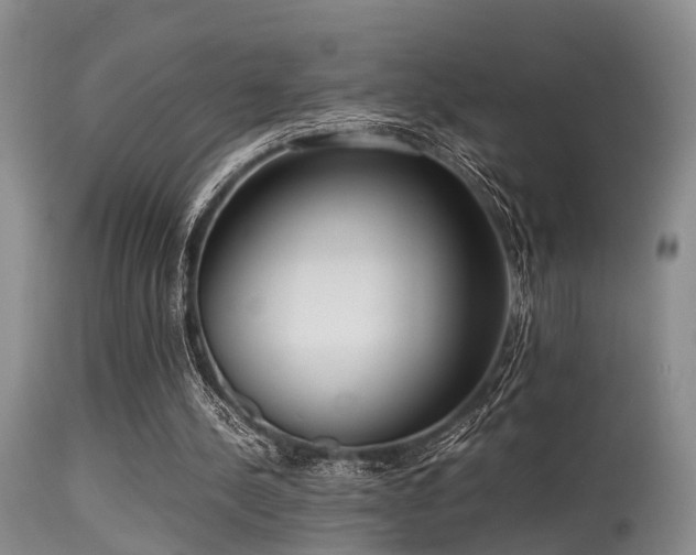 X0000115620244200911101421