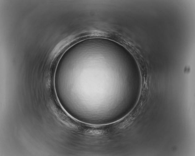 X0000115620247200911101421