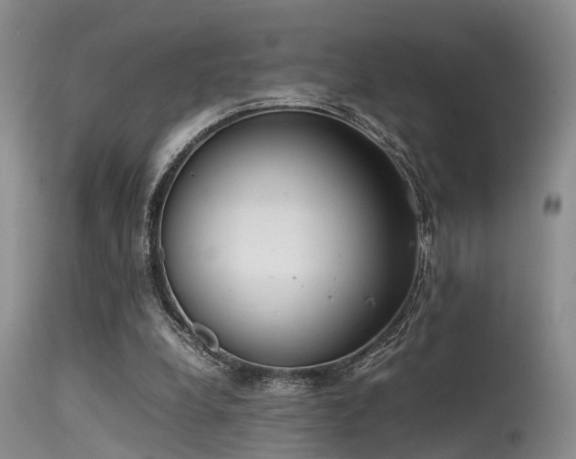 X0000115620248200911101421