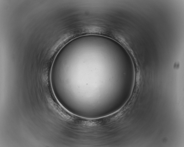 X0000115620249200911101421