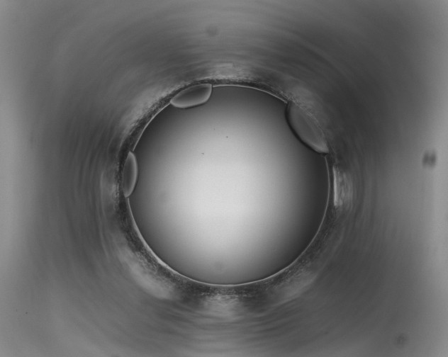 X0000115620252200911101421