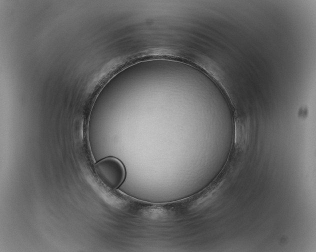 X0000115620253200911101421