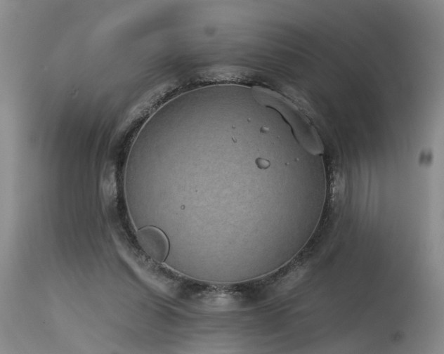 X0000115620254200911101421