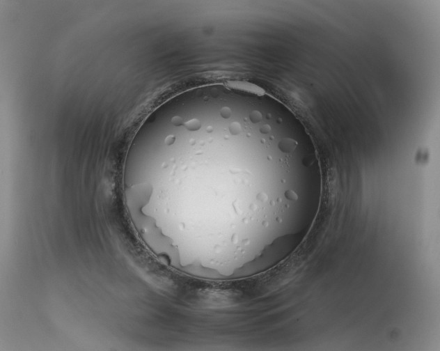 X0000115620255200911101421