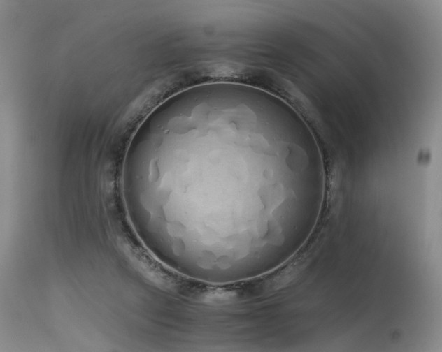 X0000115620257200911101421