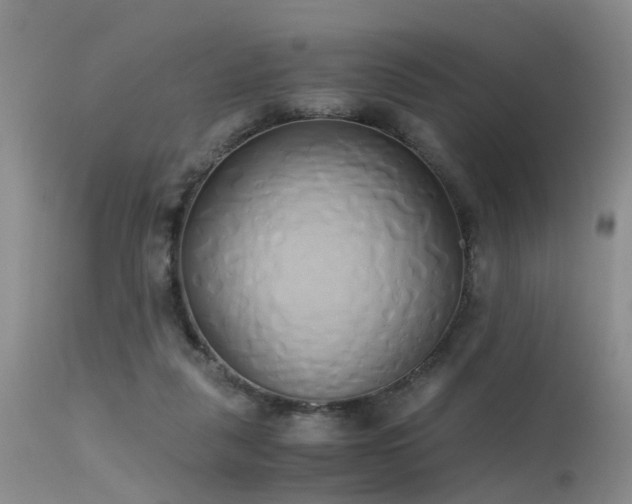 X0000115620259200911101421